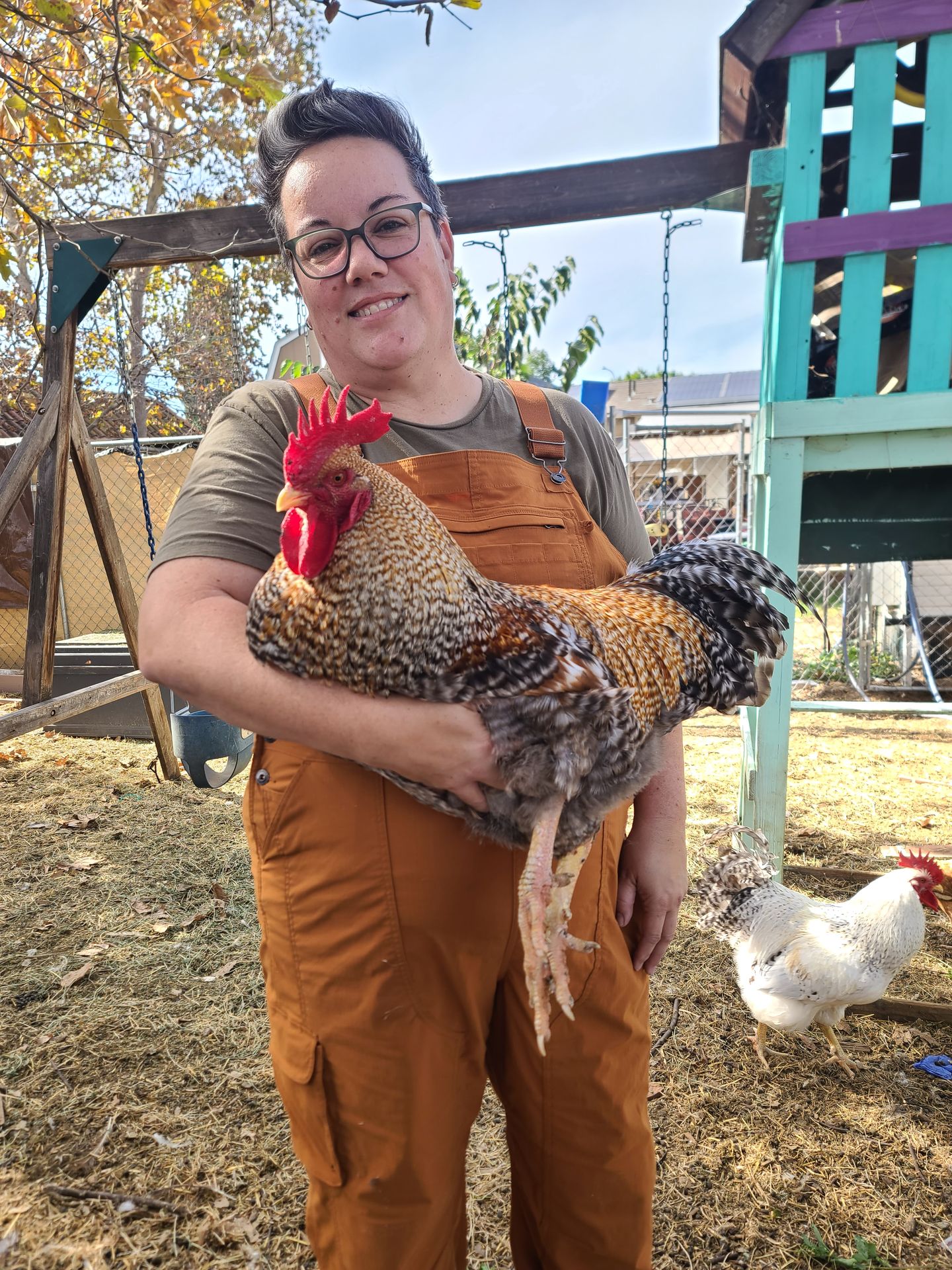 American Poultry Association