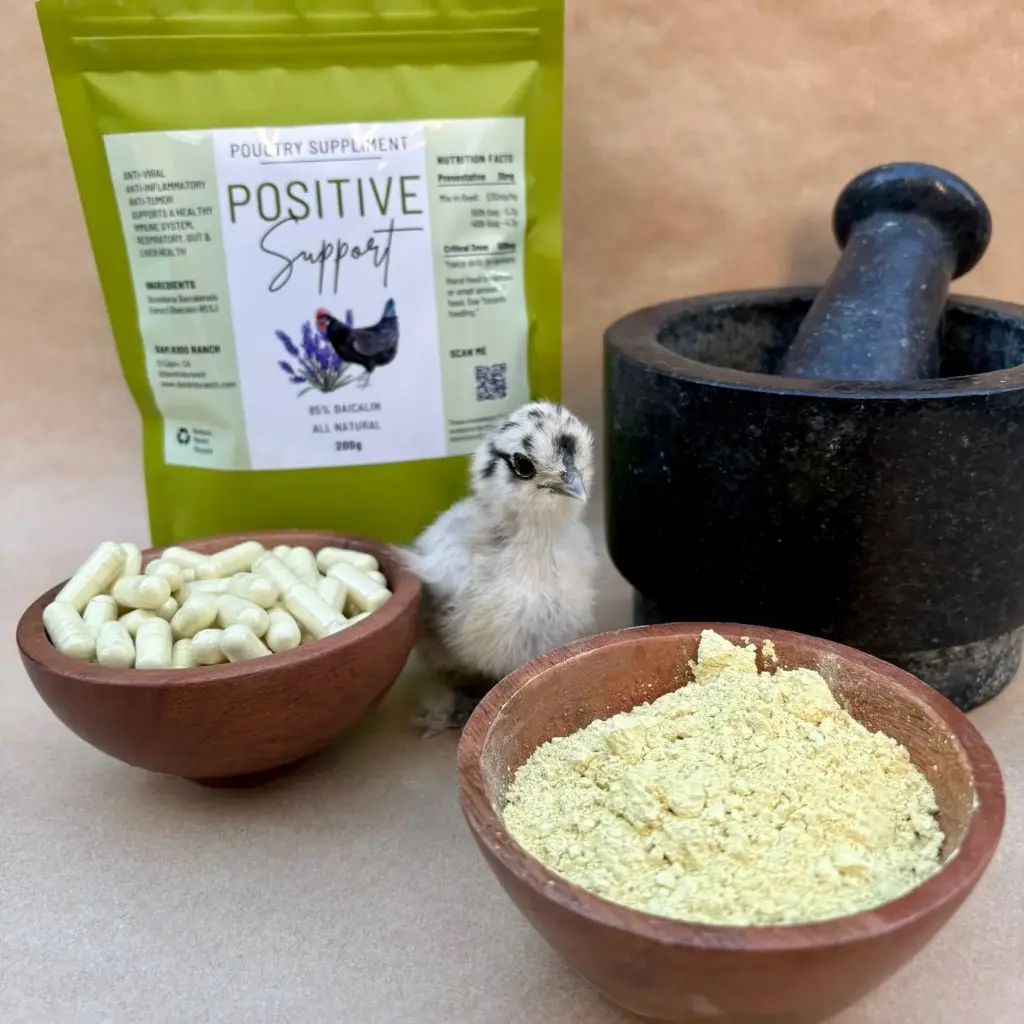 [DKR-FF-01] Fortiflock™ Positive Support (200g)